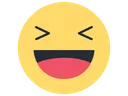 facebookhahaemoji4765 Discord Emoji