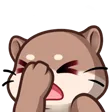 otter_facepalm otter_facepalm