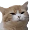 glarecatorange