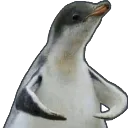 fite_me_bro fite_me_bro