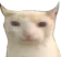 angerkot