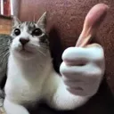 thunbsup