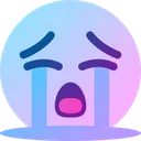 BSR_cry