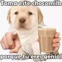 perritochokomilk