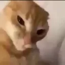 huh