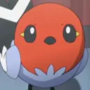 bird