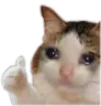 sadok