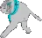 shirokot2