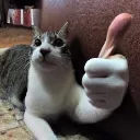 axelAPPROVAL axelAPPROVAL