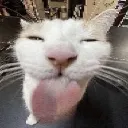 blehhh