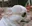 catlooks