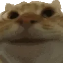 yescat