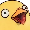 uh