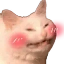 catBlush
