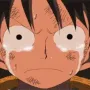 LuffyCrying