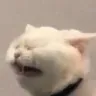 WAAAAA