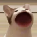 GlowStore_cat Discord Emoji