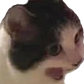 catscrem Discord emoji