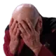 twofacepalm