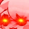 AFaunaNodWoke AFaunaNodWoke