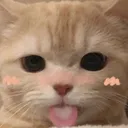 CatLick