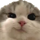 catSmirk