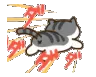 catrun