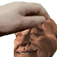 pet_the_gryn