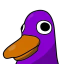 Birderp