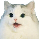 CatSurprised Discord emoji