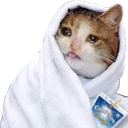 CosyCat Discord emoji