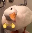 Duckuwu duckuwu Discord Emoji
