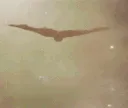 SR_batman_fly