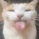 bleh