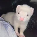 WhatDidYouSay