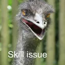 skillissue