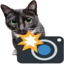 Cat_4k Discord Emoji