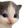 :hehe:
