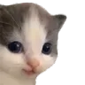 hehe hehe