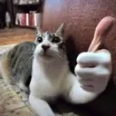 tumbup