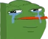 DurpSadCry Discord Emoji