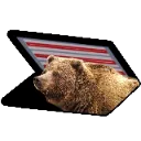 BearVent