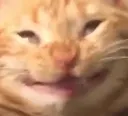 ari_cheekygrin