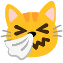 catsneeze