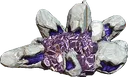 ArgonCrystalContainer Discord Emoji
