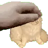 cat1
