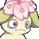 PPalCry