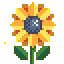 x_sunflower