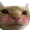 Ent Cat Blush Discord Emoji