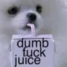 dumbfjuice
